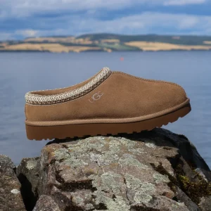 W Tasman II Light Bronze