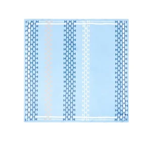 ISADORA Silk Scarf Small Skyway